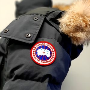 Canada Goose Winter Coat with Fur - Men's